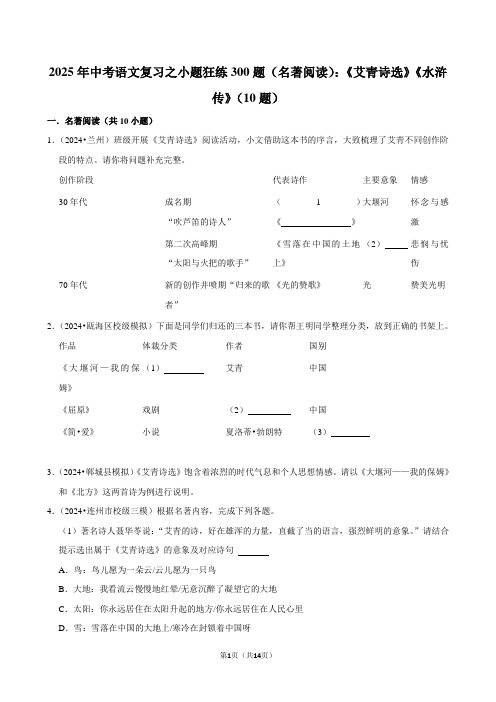 2025年中考语文复习之小题狂练300题(名著阅读)：《艾青诗选》《水浒传》(10题)