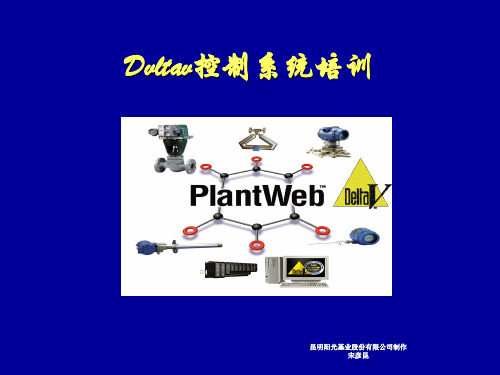 Deltav系统培训资料