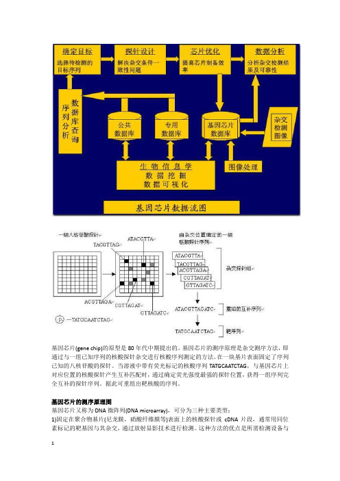 基因芯片