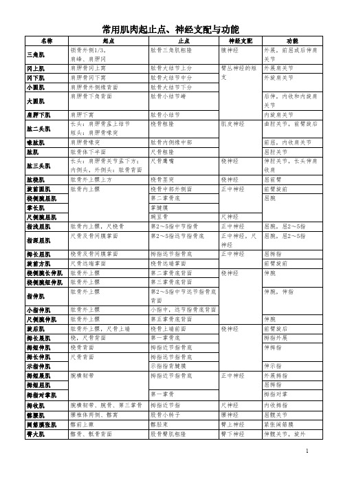 肌肉起止点神经支配及功能