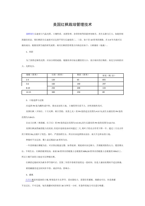 美国红枫栽培管理技术