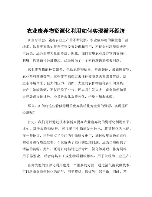 农业废弃物资源化利用如何实现循环经济