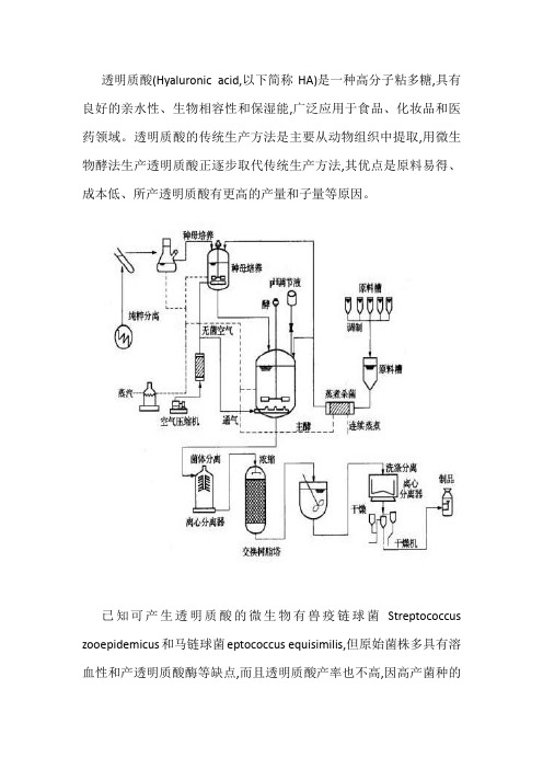 透明质酸的制备