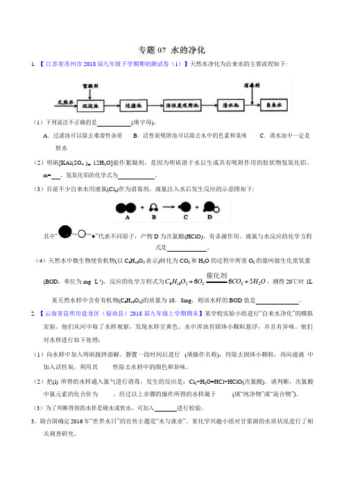 中考化学专题训练07  水的净化(原卷版)