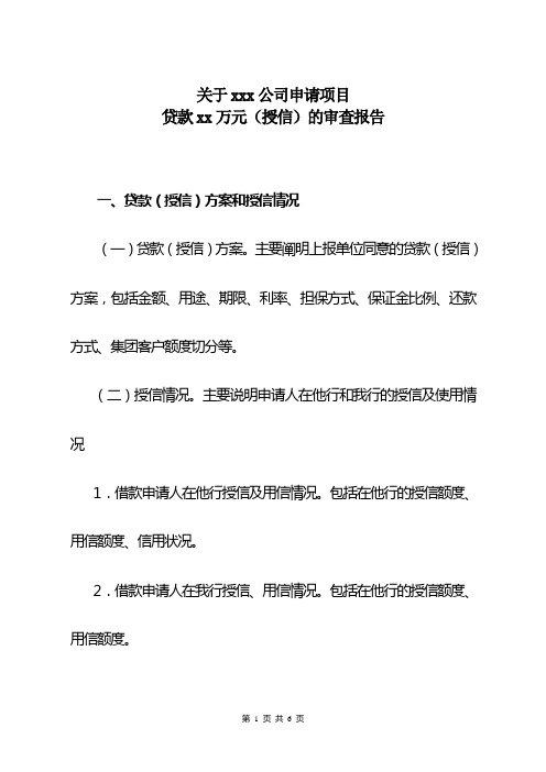 项目贷款审查报告模板