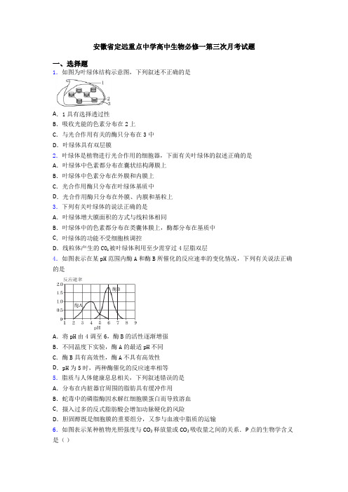 安徽省定远重点中学高中生物必修一第三次月考试题