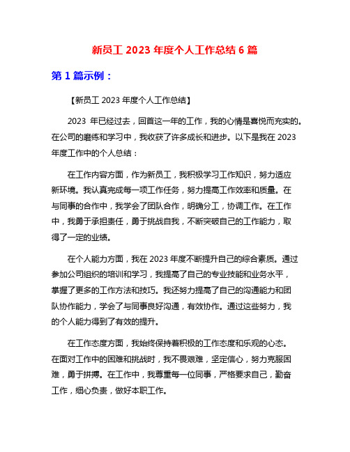 新员工2023年度个人工作总结6篇