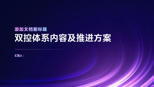 双控体系内容及推进方案