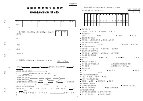 医学影像解剖学试卷8