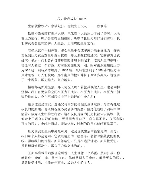 压力使我成长作文800字