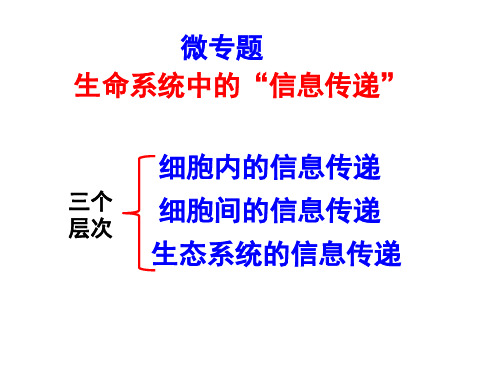 生命系统中的“信息传递”-2024年高考考前冲刺生物微专题系列