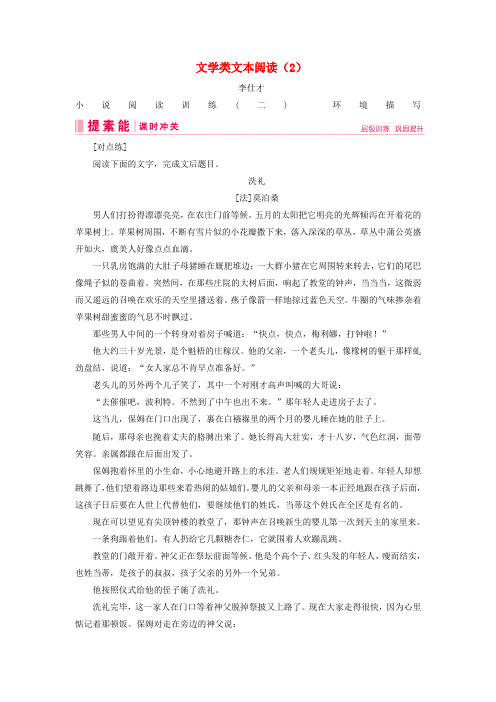 2019年高考语文总复习第二部分现代文阅读专题二文学类文本阅读(2)(含解析)