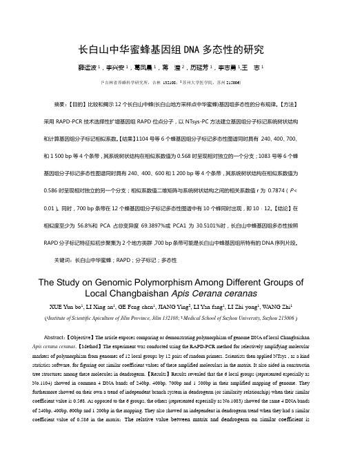 长白山中华蜜蜂基因组DNA多态性的研究