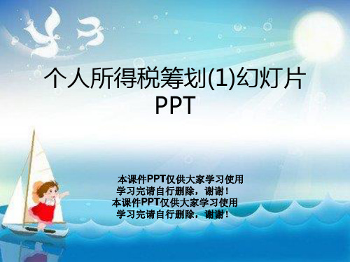 个人所得税筹划(1)幻灯片PPT