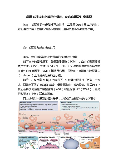 常用6种抗血小板药物机制、临床应用及注意事项