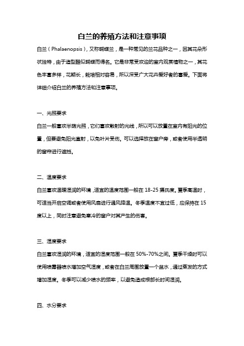 白兰的养殖方法和注意事项