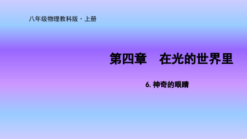 教科版八年级上册物理优质课件4.6神奇的眼睛