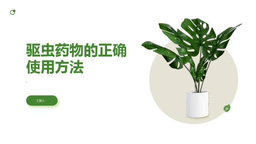 如何正确使用驱虫药物清除体内的蛔虫