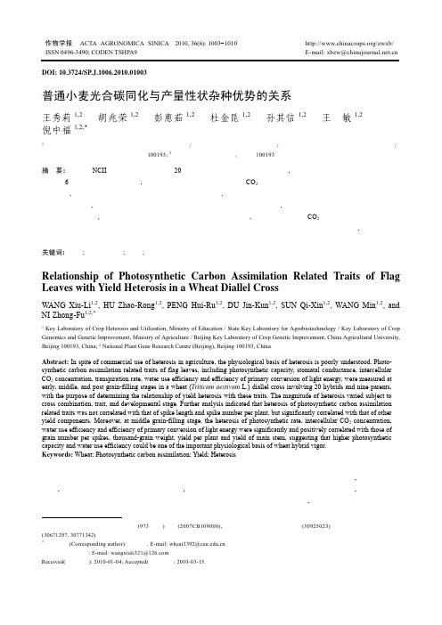 普通小麦光合碳同化与产量性状杂种优势的关系