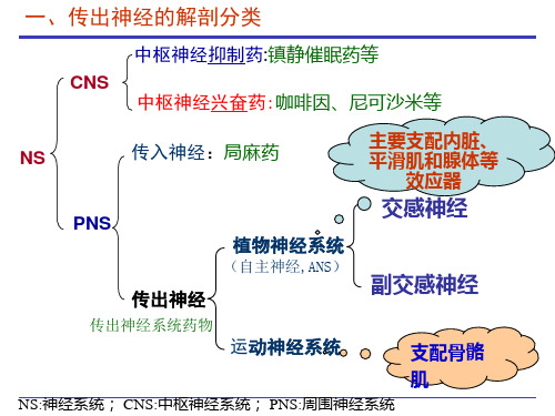 2_传出神经药理