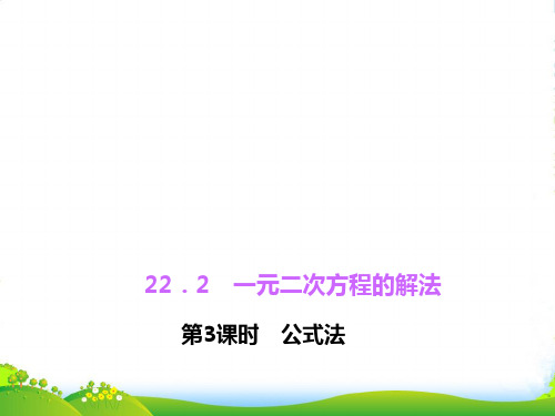 华师大版九年级数学上册22.2 一元二次方程的解法 第3课时 公式法