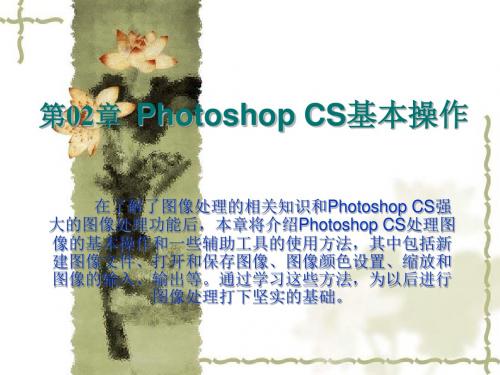 第02章  Photoshop CS基本操作