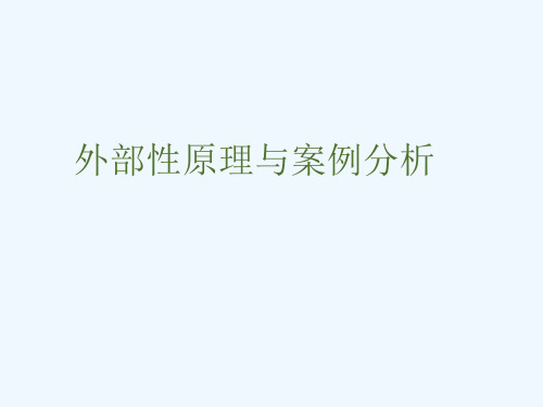 环境经济学的外部性