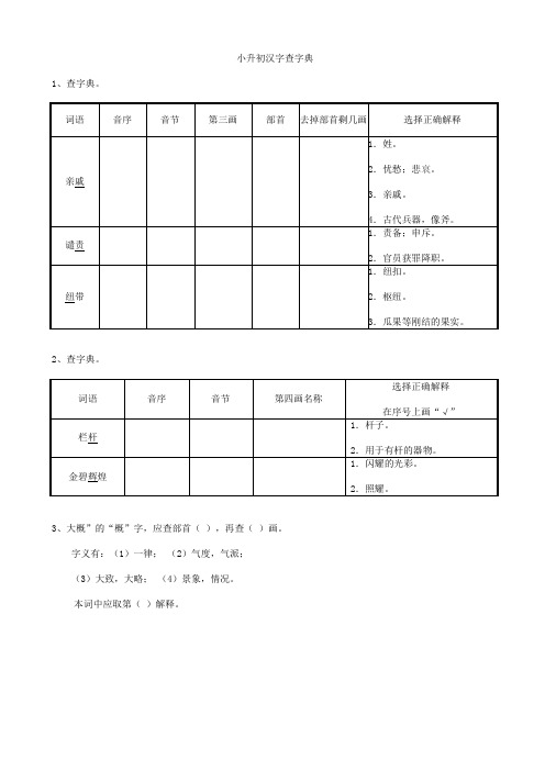 部编版六年级语文下册 小升初 语文专题复习 汉字查字典(含答案)