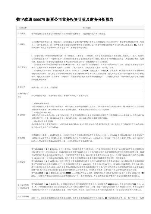 数字政通300075股票公司业务投资价值及财务分析报告