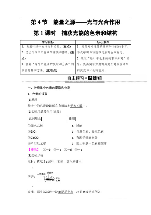 2019-2020学年人教版生物必修一讲义：第5章 第4节 第1课时 捕获光能的色素和结构 