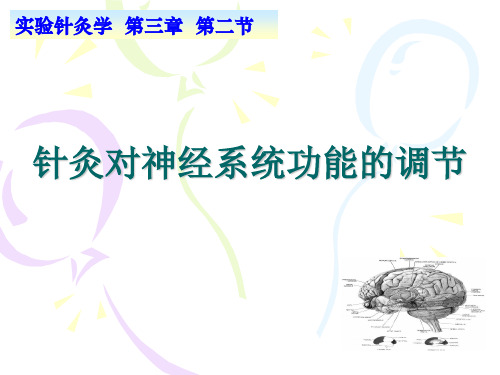 针灸对神经系统功能的调节 PPT课件