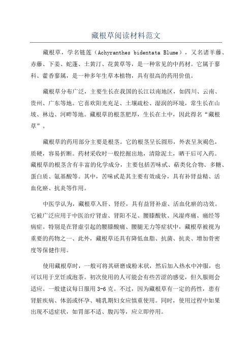 藏根草阅读材料范文
