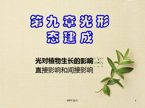 植物生理学--光形态建成  ppt课件