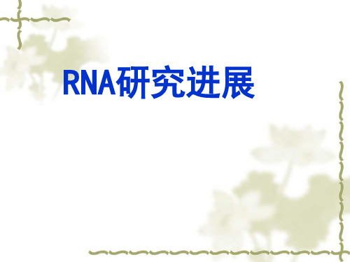 RNA研究进展