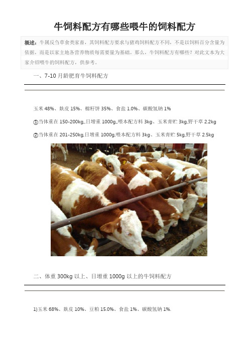 牛饲料配方有哪些喂牛的饲料配方