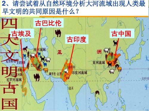 第17课_大河流域的文明曙光课件