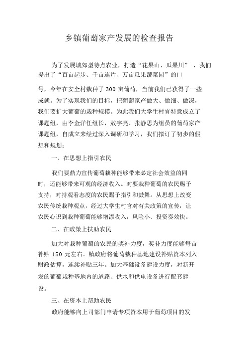 乡镇葡萄产业发展的调查报告