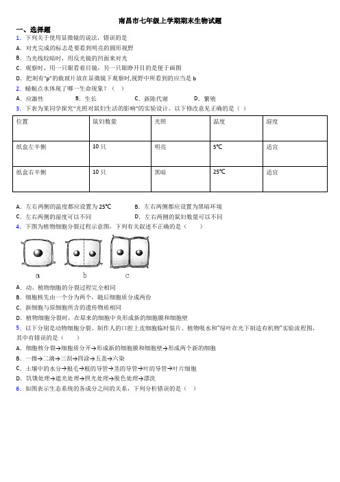南昌市七年级上学期期末生物试题