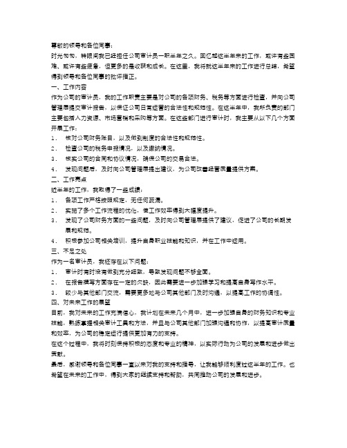 审计员半年工作总结报告