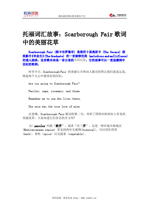 托福词汇故事：Scarborough Fair歌词中的美丽花草