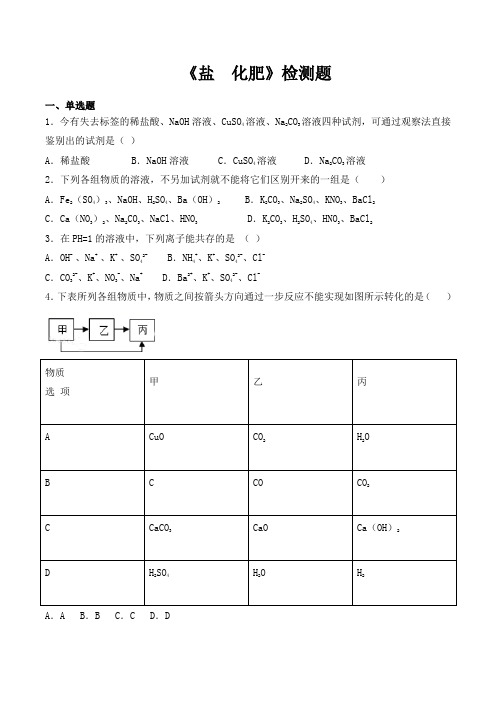 人教版初中化学九年级下册第十一单元《盐  化肥》检测题(含答案)