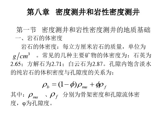 第八章 测井DEN曲线