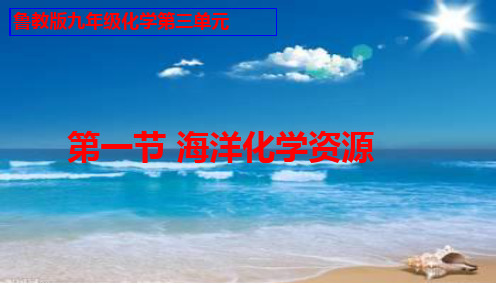 课件  海洋化学资源