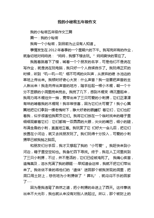 我的小秘密五年级作文三篇