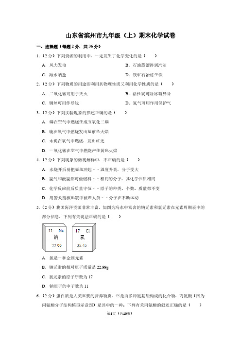 山东省滨州市九年级(上)期末化学试卷 (3)