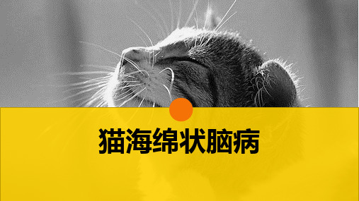 猫的病毒性传染病(猫海绵状脑病)-宠物医生课件