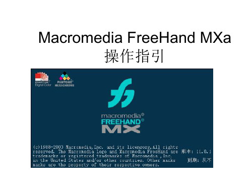 FreeHand MXa操作指引(图)