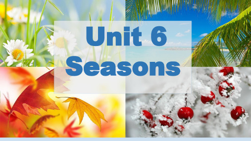 Unit 6  Seasons-Lesson 36 Spring in China课件