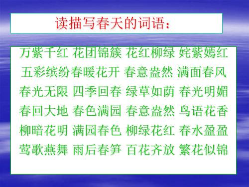 人教版六年级下册《江畔独步寻花》小学语文PPT教学课件