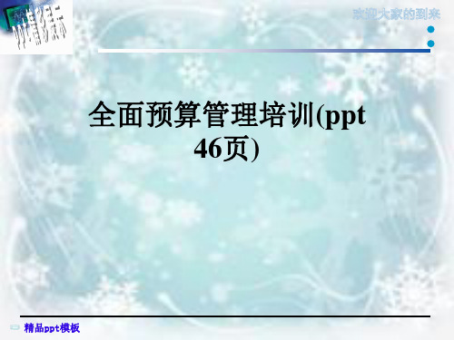 全面预算管理培训(ppt 46页)